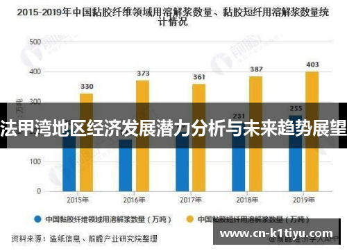 法甲湾地区经济发展潜力分析与未来趋势展望