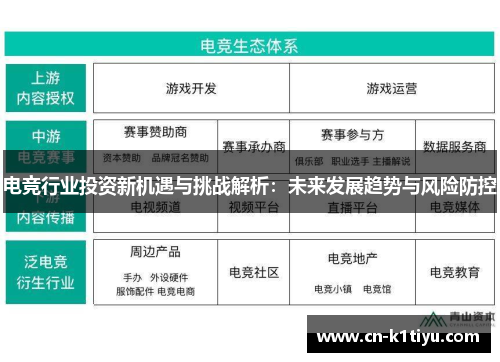 电竞行业投资新机遇与挑战解析：未来发展趋势与风险防控